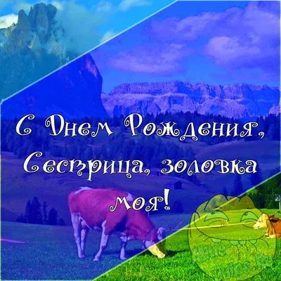 Ходили на день рождения к золовке, узнала много нового | Анастасия Андреева  | Дзен