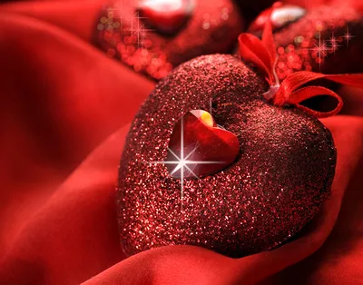 Фотография День святого Валентина Сердце Красный
