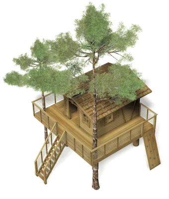 дом на дереве | Tree house, Tree house designs, Cool tree houses