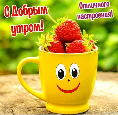 ДОБРОЕ УТРО! 🌞 ПОЗИТИВА 🍊🍎🍋 и главное ЗДОРОВЬЯ ! ❤😉💐😋❤ Улыбнись, и  весь мир улыбнется тебе в ответ! | Кофейные карточки, Доброе утро, Смешные  открытки