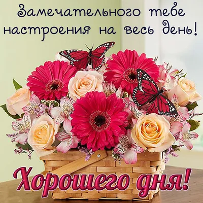 ДОБРЫЙ ДЕНЬ! 🧡🌹🦋🌼💐🏵🌿🌼🦋🌹 ВСЕ БУДЕТ ХОРОШО! 🧡🌹 | Birthday images,  Garden yard ideas, Birthday