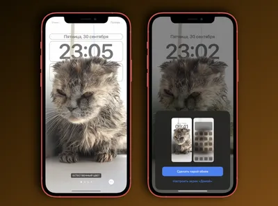 Новый локскрин iOS 16 просто ужасен. Apple, а можно всё вернуть как было? |   | Дзен