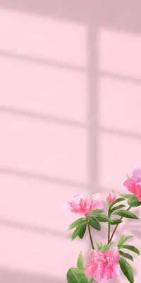 Flower blue pink wallpaper for phone | Цветочные фоны, Фиолетовые пионы,  Обои