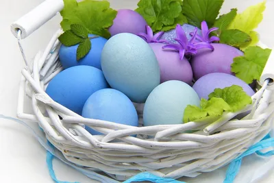 Диетолог рассказала, как и чем нужно красить яйца на Пасху - РИА Новости,  