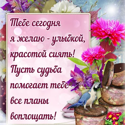 NutriBiotic, Чистый шампунь на каждый день, без отдушек, 296 мл (10 жидк.  Унций) купить в Москве