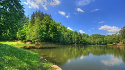 Picture Japan Fujinomiya Nature Lake Trees