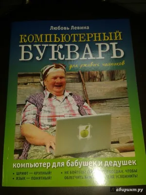 Иллюстрация 11 из 26 для Компьютерный букварь для ржавых чайников. Компьютер  для бабушек и дедушек - Любовь Левина | Лабиринт - книги. Источник: Меринов  Кирилл