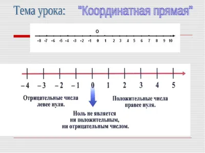 Calaméo - Координатная прямая.