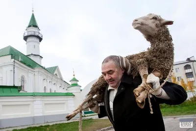 На курбан байрам картинки