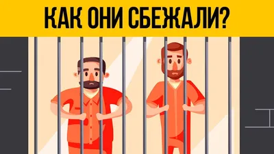 10 задач на логику и сообразительность - Лайфхакер