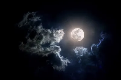 Космический аппарат Orion впервые показал видео Луны
