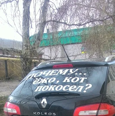 Виниловые наклейки на авто - AutoPR