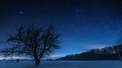 Созвездия на небе в январе | Что за яркая звезда сейчас на небе | Star Walk