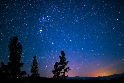 Созвездие Тельца на небе | В какое время года лучше наблюдать созвездие  Телец | Star Walk