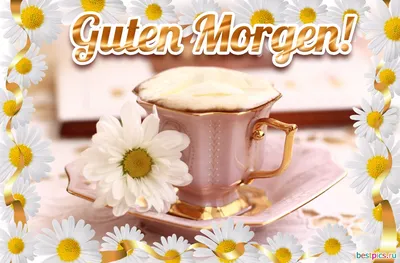 Идеи на тему «Guten Morgen» (36) в 2023 г | доброе утро, кофе с шоколадом,  конфеты в подарок