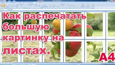 DIY как распечатать большую картинку на нескольких листах А4 - YouTube