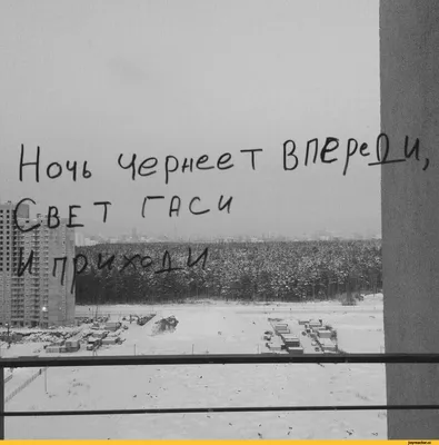 Спокойной ночи - новые красивые картинки (85 ФОТО) | Спокойной ночи, Ночь,  Смешные открытки