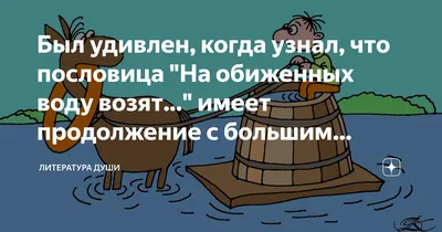 Почему «на обиженных воду возят»: происхождение и продолжение пословицы