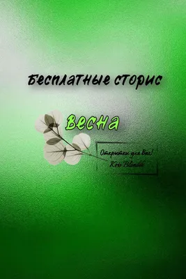 Обложка для паспорта из натуральной кожи, цветной рисунок по коже "Весна" -  Цветной рисунок по коже - Компания "Имидж"