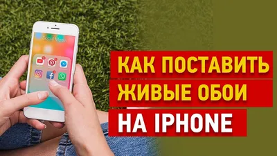 Лучшие фото (50 000+) по запросу «Обои Для Iphone» · Скачивайте совершенно  бесплатно · Стоковые фото Pexels