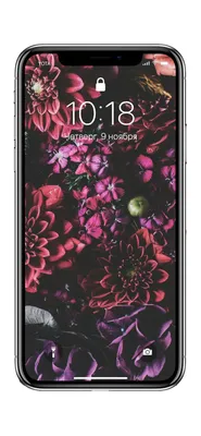 Обои для iPhone 14 Pro | 14 Pro Max