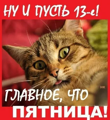 Пятница 13, а у меня - праздник!