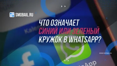 Бета-версия WhatsApp для Android : что нового?