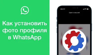 Последнее обновление WhatsApp включает в себя функции закрепленных  сообщений и обновленную страницу общего доступа к чату - 