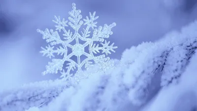 Картинки Зима парк снегу Ночь город Деревья 2560x1440