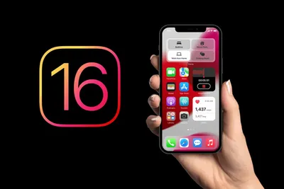 Все обои iPhone 11 и iPhone 11 Pro в высоком разрешении