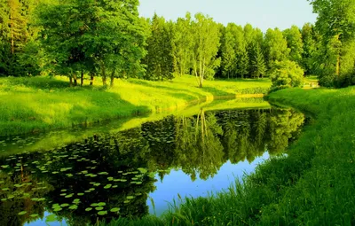 Обои зелень, отражения, деревья, река, Природа картинки на рабочий стол,  раздел природа - скачать