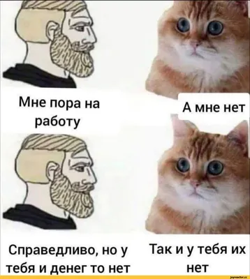 5 признаков, что вам пора менять работу (или задуматься об этом) - МГУТУ  им. К.Г. Разумовского (ПКУ)