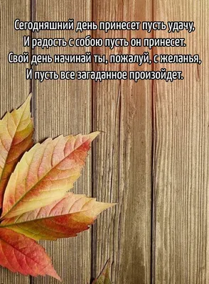 Картинка: День сегодняшний пусть будет и успешен и хорош.