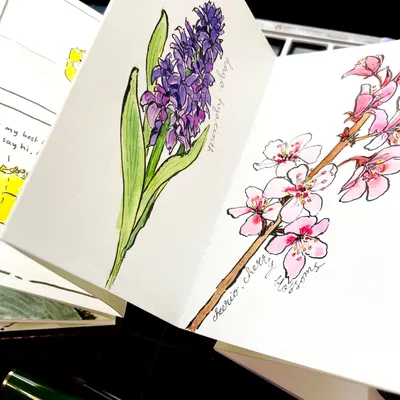 How to Design a Dynamic Sketchbook Spread