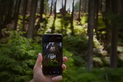 Заставка на телефон природа | Instagram photo, Instagram, Photo and video