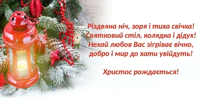 Pin by Nicole on Поздравления | Holiday, Christmas, Novelty christmas