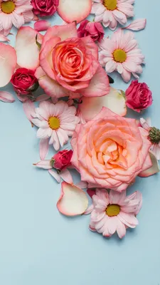 Обои на телефон цветы, букет, цветение, растения - скачать бесплатно в  высоком качестве из категории "Цветы"