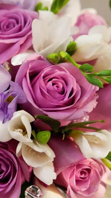 Обои на телефон роза, цветы, бутоны, лепестки, ветки - скачать бесплатно в  высоком качестве из категории "Макро"
