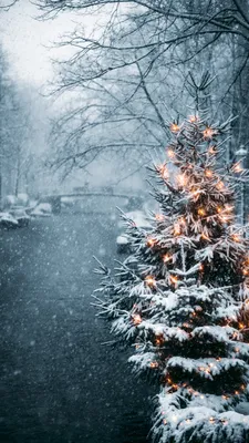 Картинки зима на заставку телефона (56 фото) - 56 фото