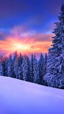 Обои на телефон зима, лес, дорога, снег, звездное небо - скачать бесплатно  в высоком качестве из категории "Природа"
