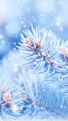Завантажити шпалери "Зима" на телефон в високій якості, вертикальні картинки  "Зима" безкоштовно