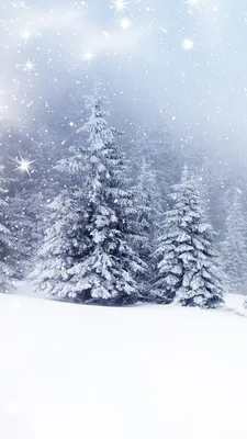 Обои на телефон зима, дорога, снег, деревья, зимний пейзаж - скачать  бесплатно в высоком качестве из категории "Природа"