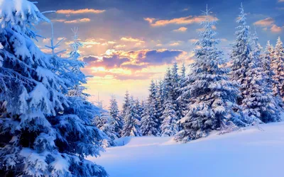 Download wallpaper 4480x5600 house, winter, snow, night, trees hd background