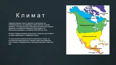 Презентация по биологии "Северная Америка"