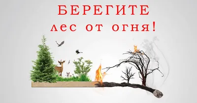 Стенгазета «Берегите лес от пожара!» (2 фото). Воспитателям детских садов,  школьным учителям и педагогам - Маам.ру