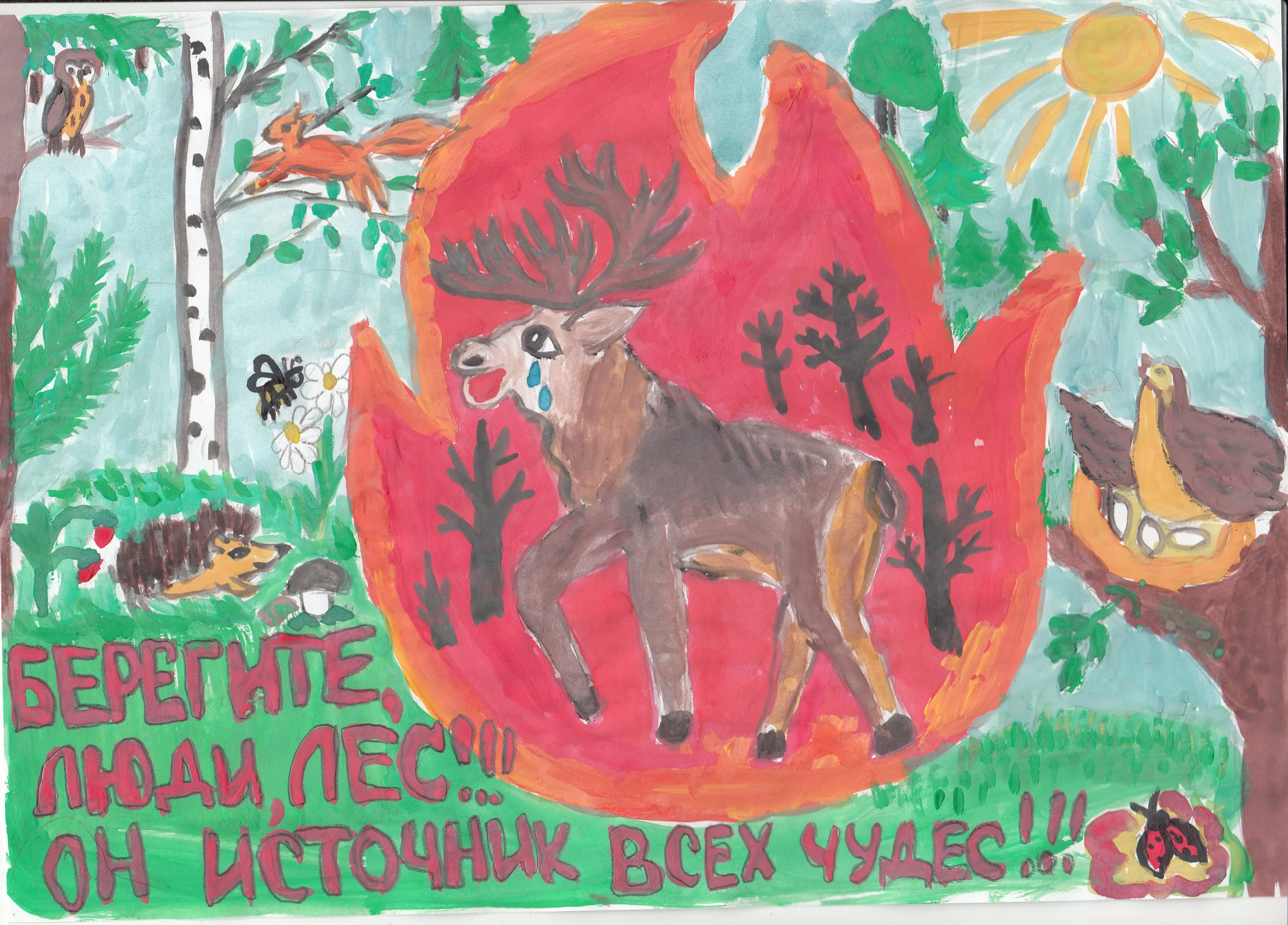 День леса плакат. Плакат лес. Заповедная природа без пожаров. Плакат берегите животных. Рисунки ко Дню леса для школы.