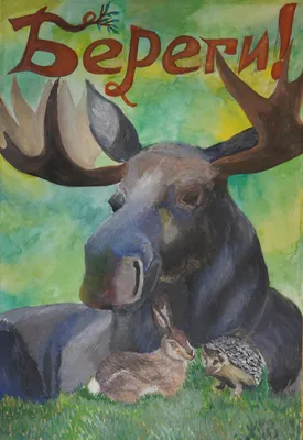 Раскраски плакат берегите животных (63 фото) » Картинки, раскраски и  трафареты для всех - 
