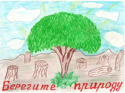 Экологический проект «Береги природу!» — Детский сад №38