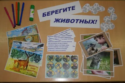Конкурс "Берегите природу" - Всероссийские и международные дистанционные  конкурсы для детей - дошкольников и школьников