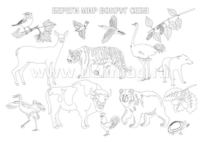Рисунок "Берегите животных": 90+ простых вариантов для срисовки